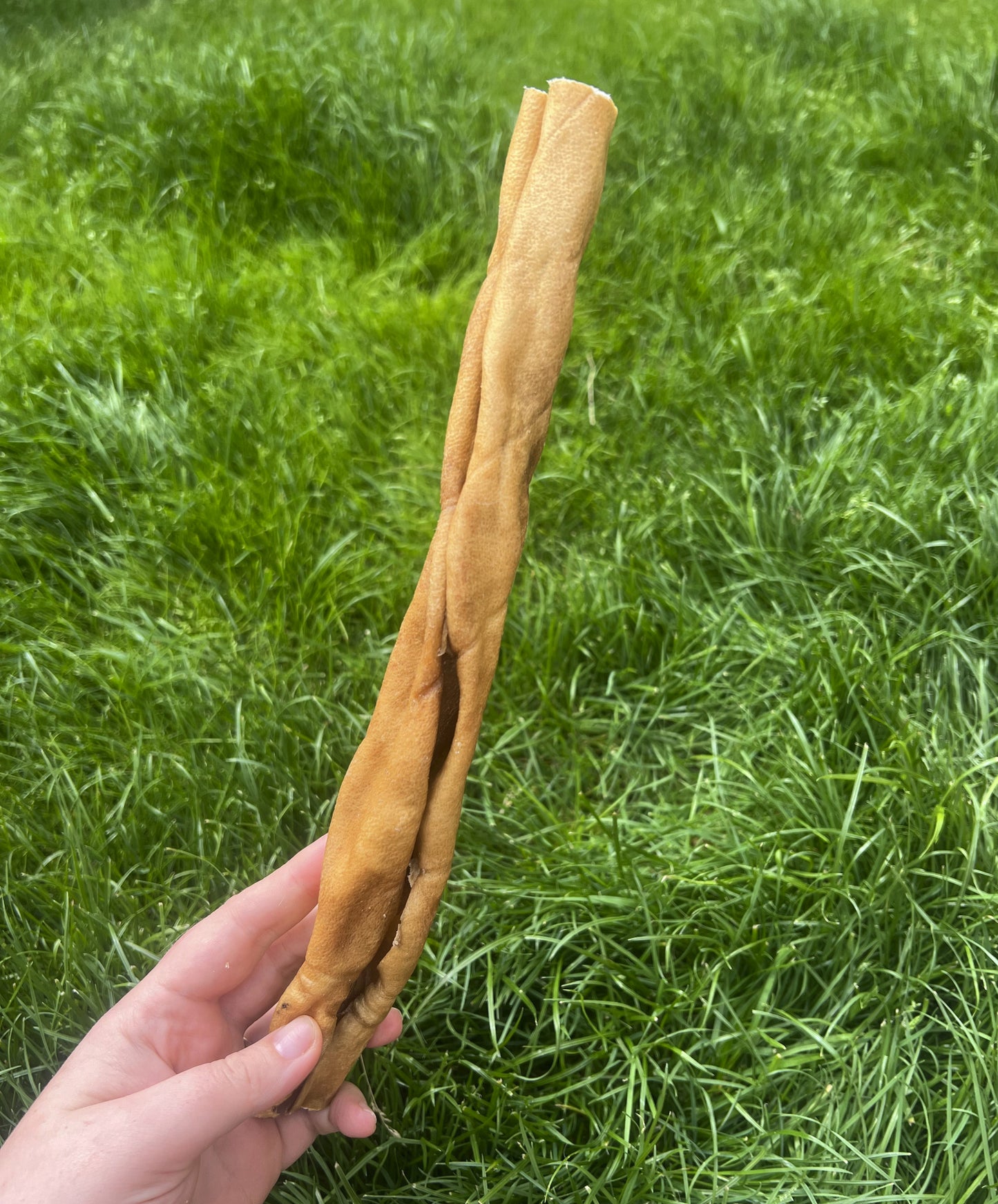 Paddock Farm by Nova Dog Chews Camel Skin Roll 30cm - Long Lasting Natural Dog Treat
