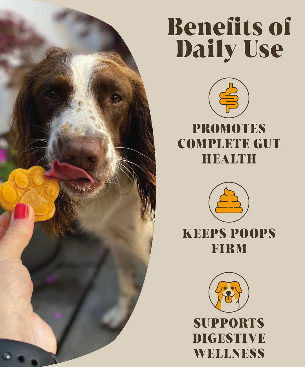 Hackney Dog House Pumpkin & Probiotics 225g - Digestive & Gut Support