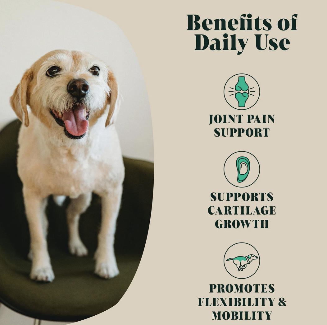 Hackney Dog House Green Lipped Mussel 100g - Joint Health & Anti-Inflammatory Supplement