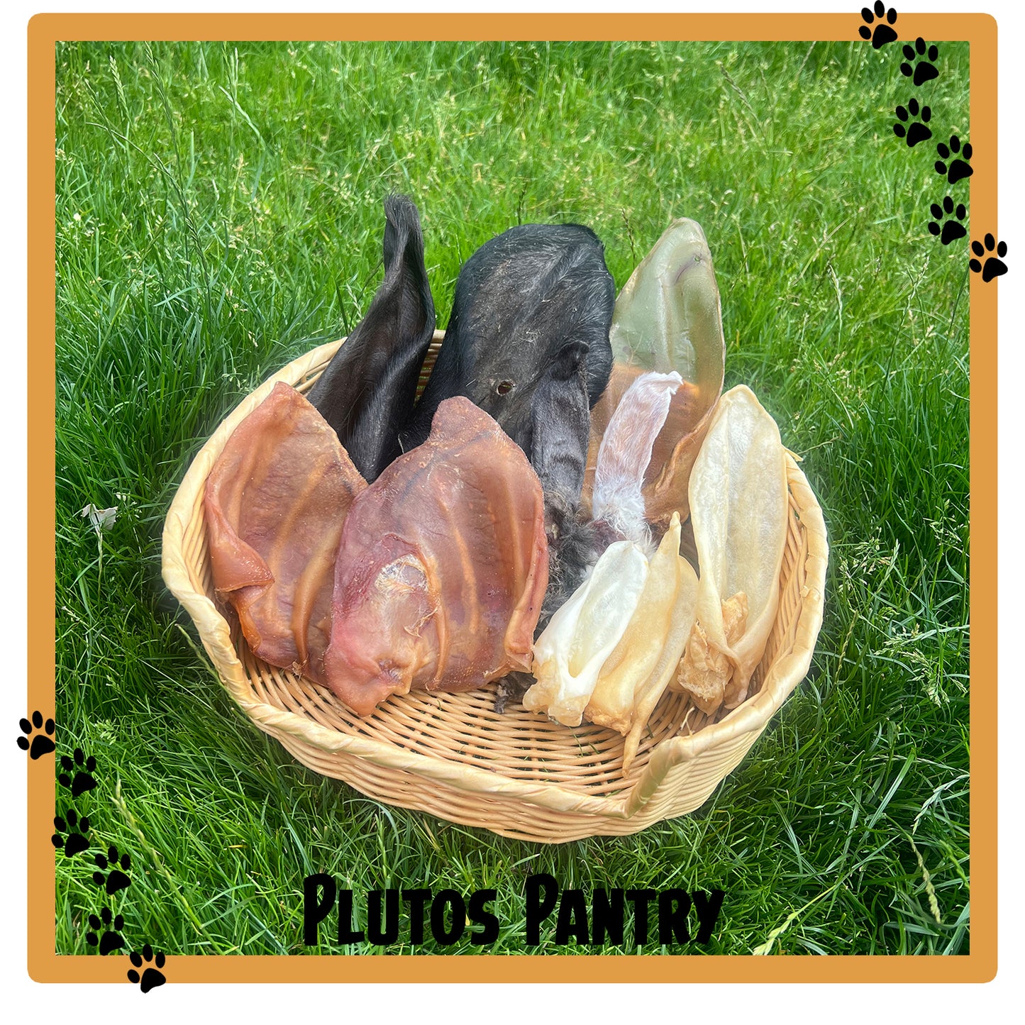 All Ears! Bundle