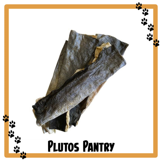 Fish Skin Flattie