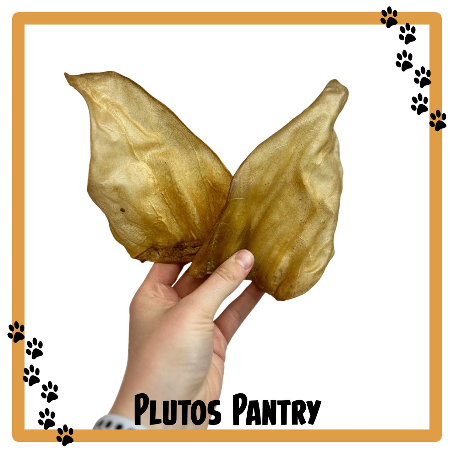 Hairless Cow Ears