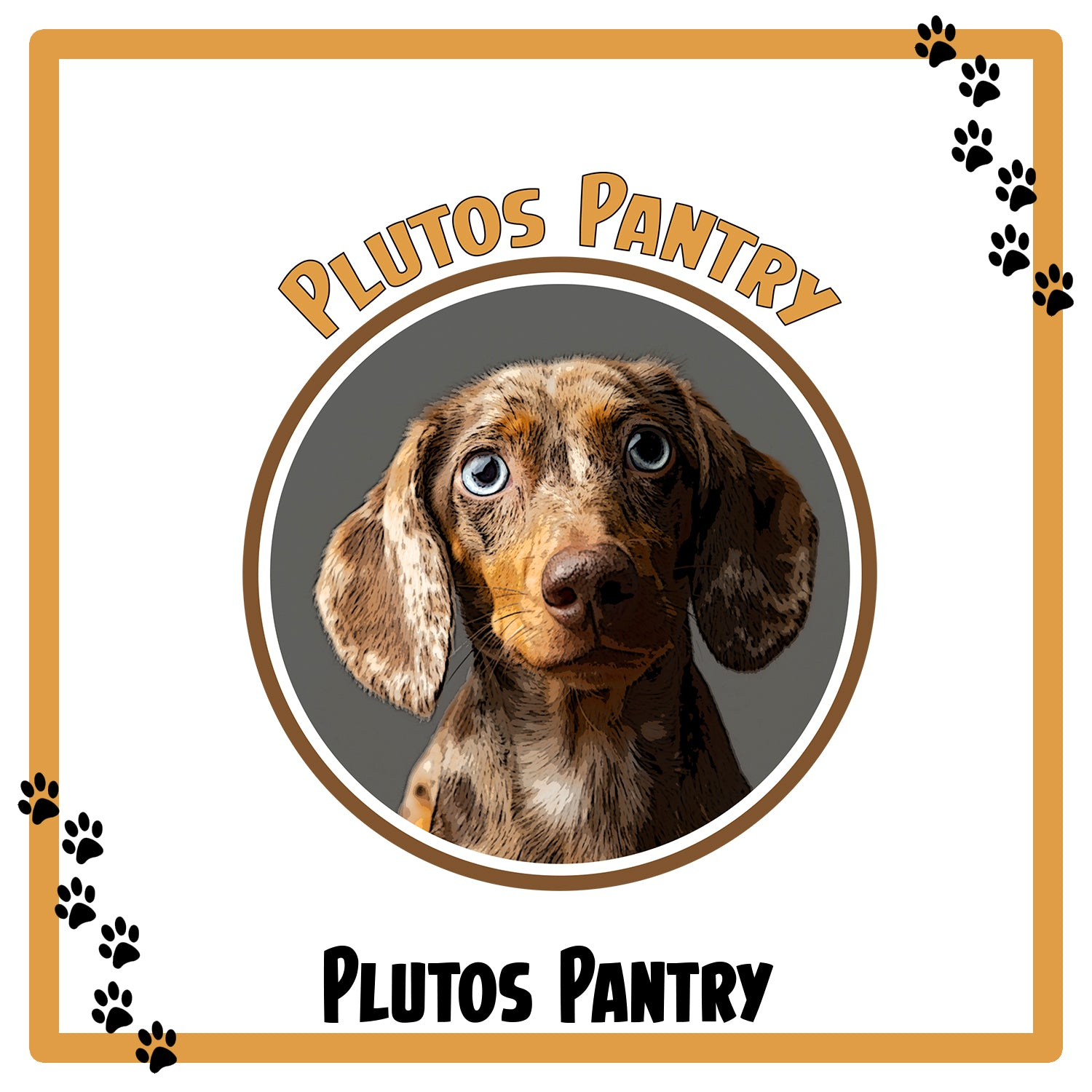 Most Popular Products