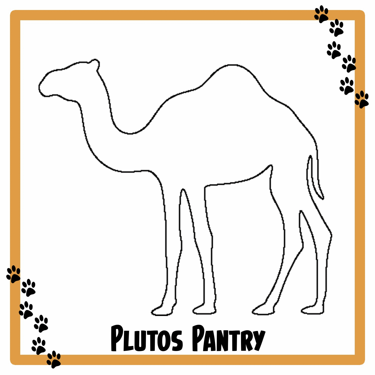 Camel Flavour Products