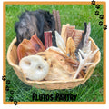 2 Dog Natural Dog Treat Taster Bundle