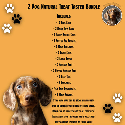 2 Dog Natural Dog Treat Taster Bundle