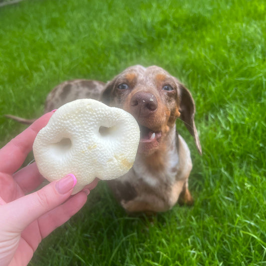 Puffed Pigs Snout