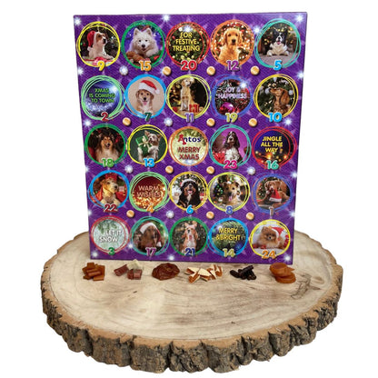 Advent Calender For Dogs - Soft & Chewy Treats