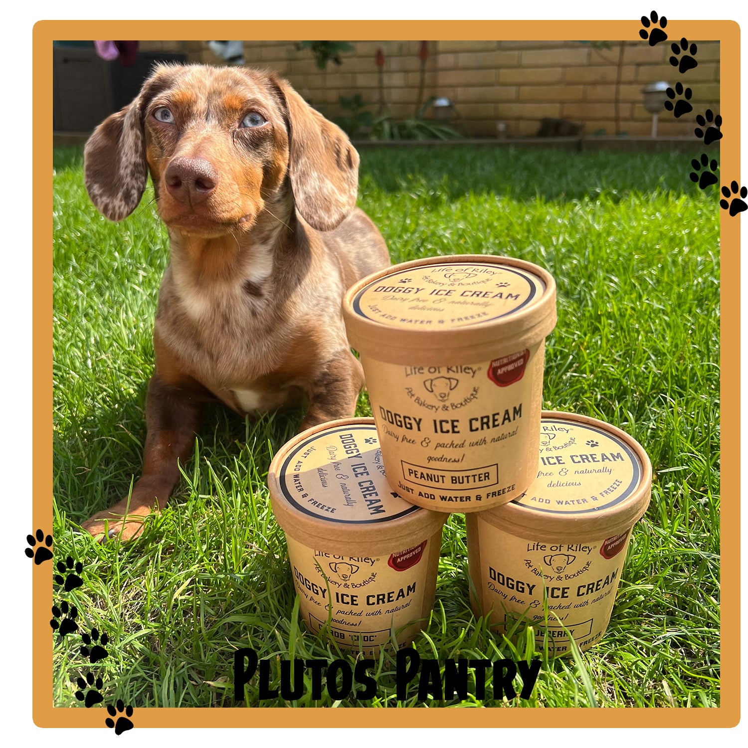 Life Of Riley Bakery - Dog Ice Cream Mix