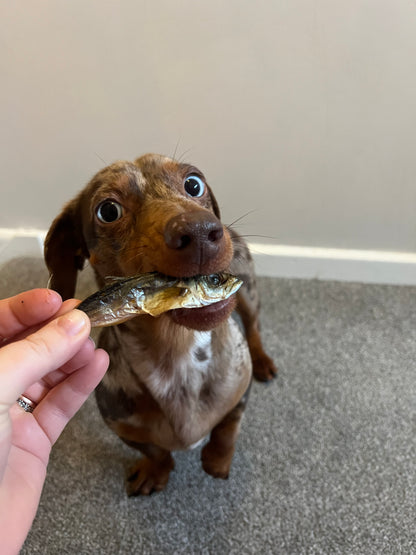 Dried Whole Sprats | Natural Dog & Cat Treat