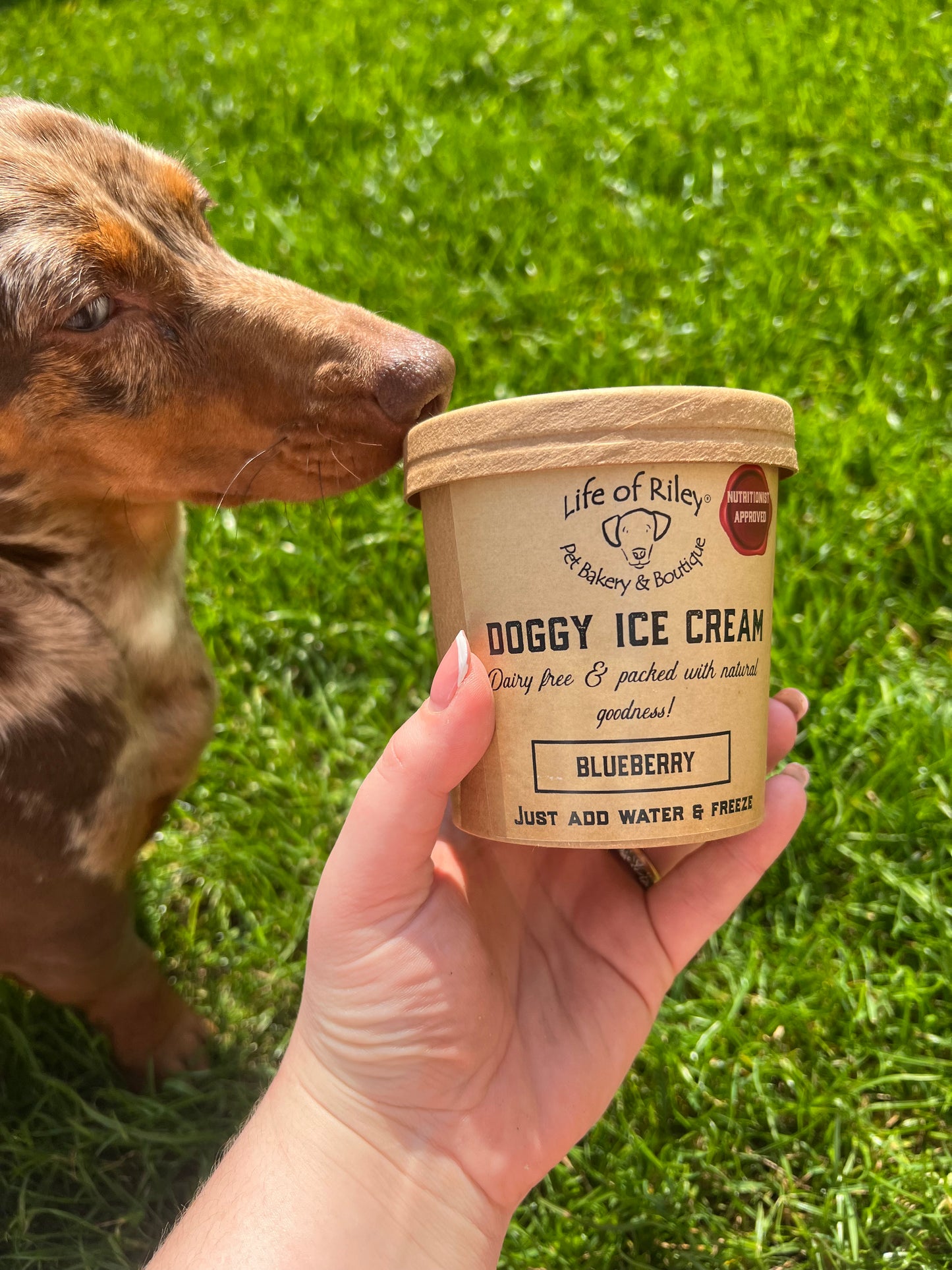 Life Of Riley Bakery - Dog Ice Cream Mix