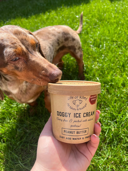 Life Of Riley Bakery - Dog Ice Cream Mix