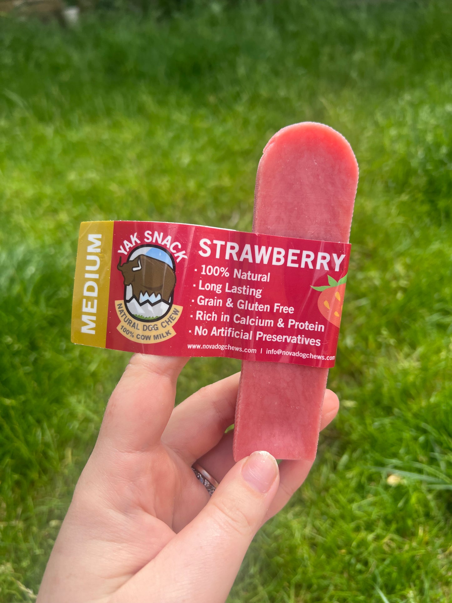 Yak Snack Strawberry - Medium & Large