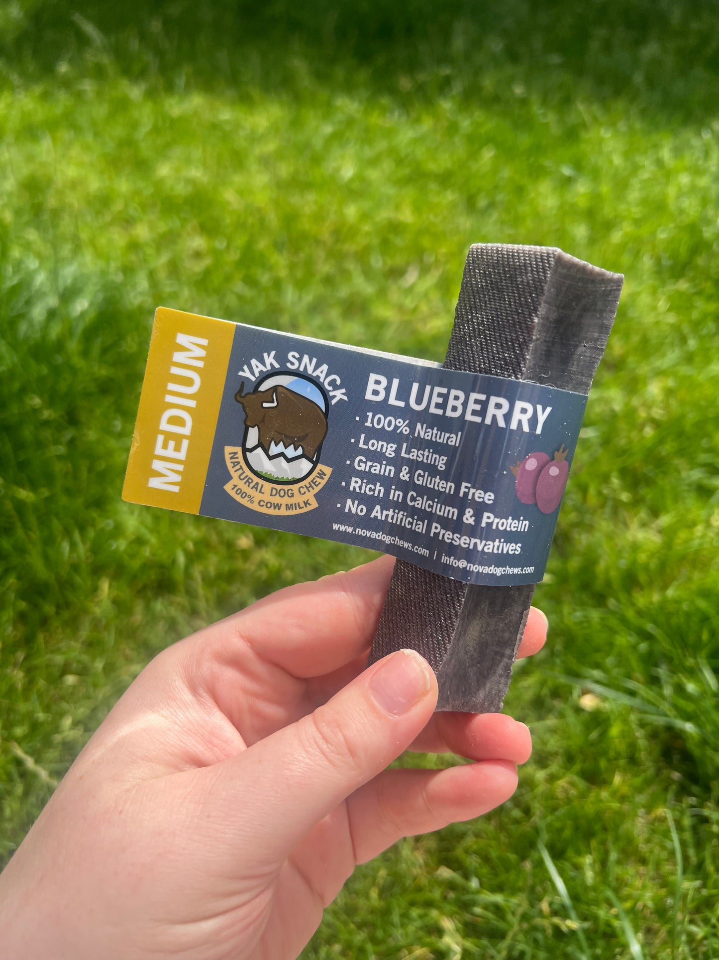 Yak Snack Blueberry - Medium & Large