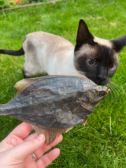 Whole Flounder