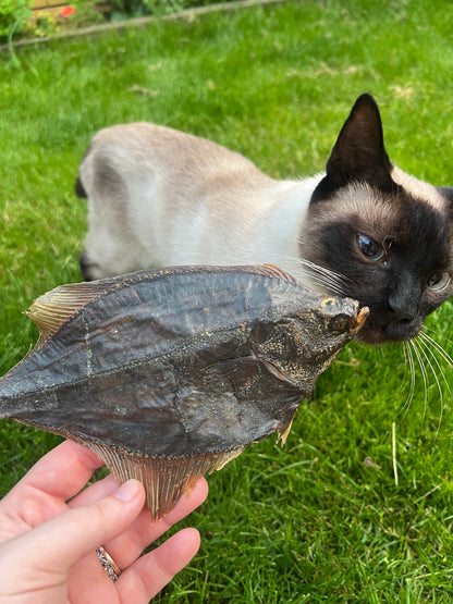 Whole Flounder