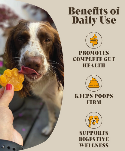 Hackney Dog House Pumpkin & Probiotics 225g - Digestive & Gut Support