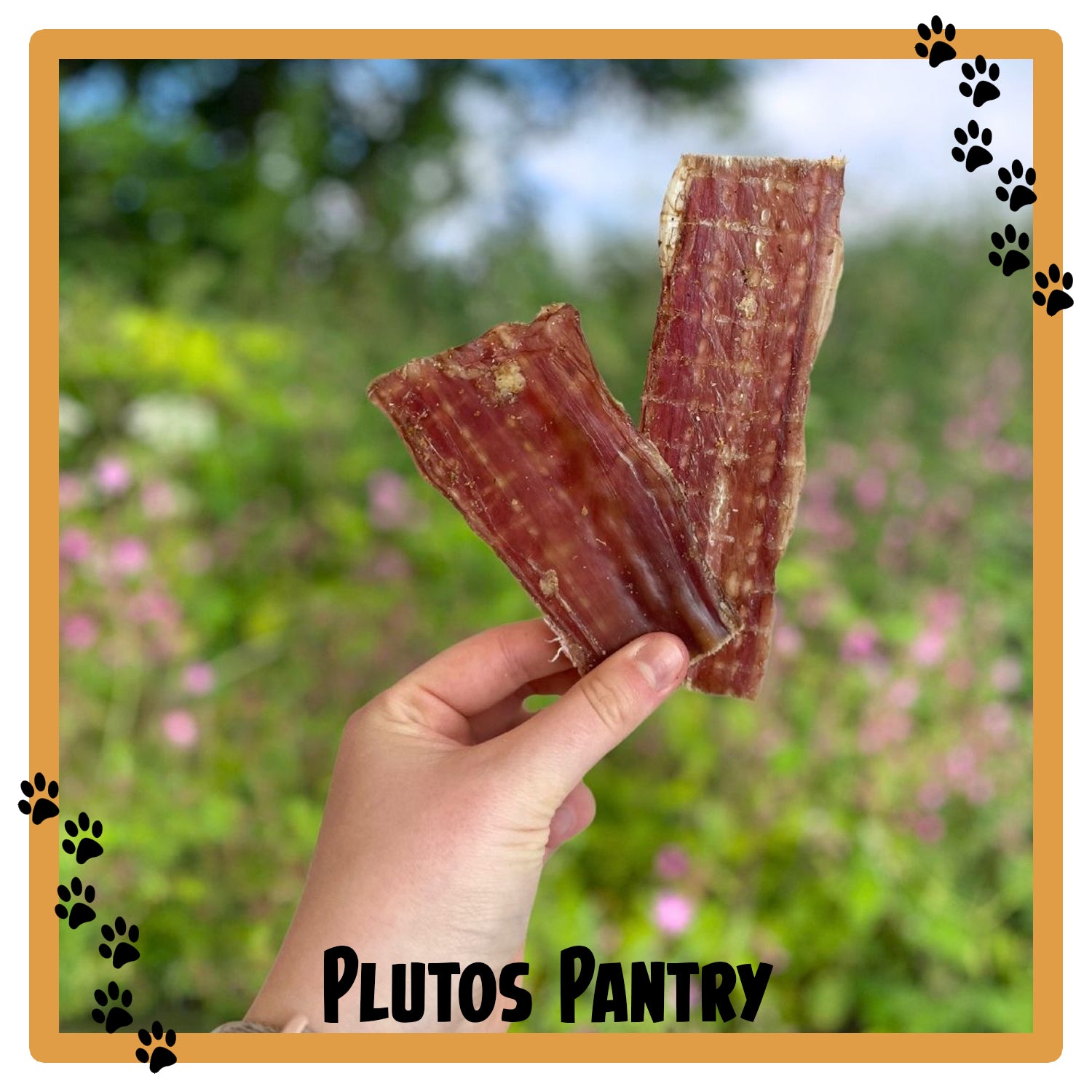 Beef Gullet Natural Dog Treat - 100g