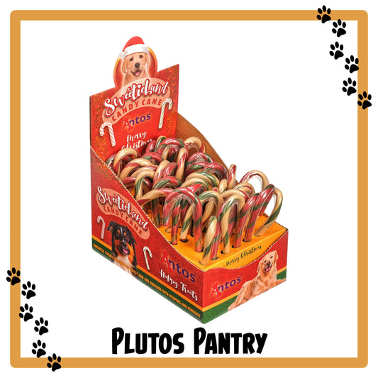 Antos Dog Christmas Treat Candy Cane