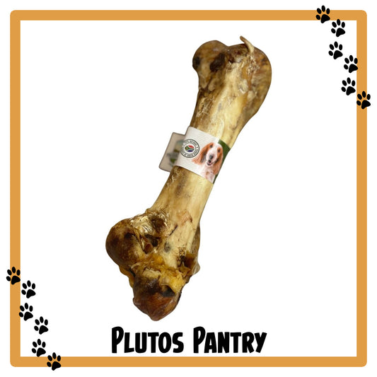 Ostrich Dino Bone - Natural Dog Treats - Long Lasting