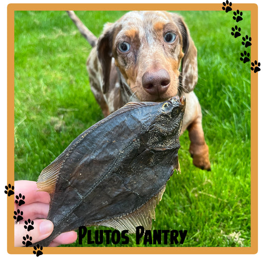 Whole Flounder