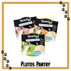 YowUp! Frozen Yogurt For Dogs & Cats - Freeze At Home - 3 Flavours