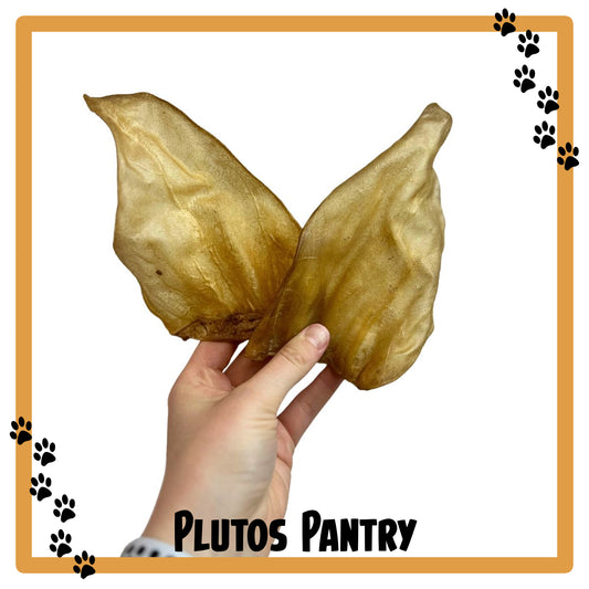 Hairless Cow Ears