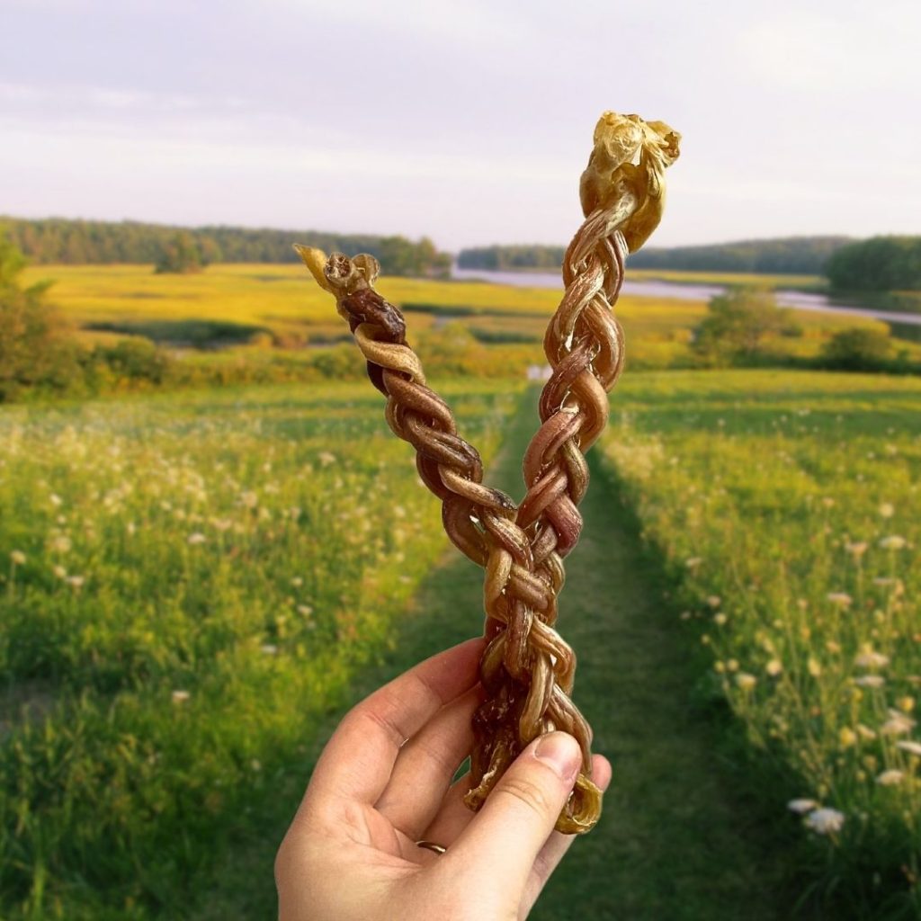 Braided Lamb Pizzle 15cm