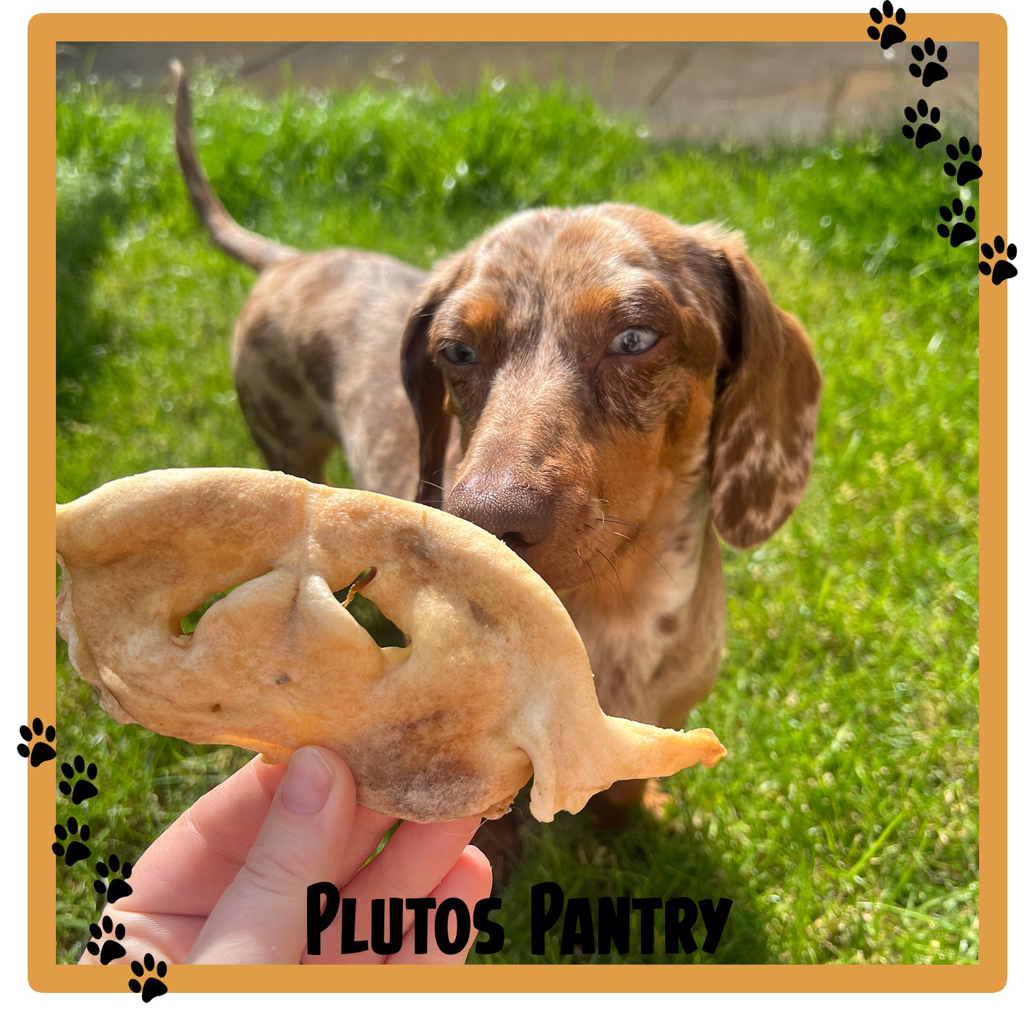 Lamb Snouts - 100g or 500g