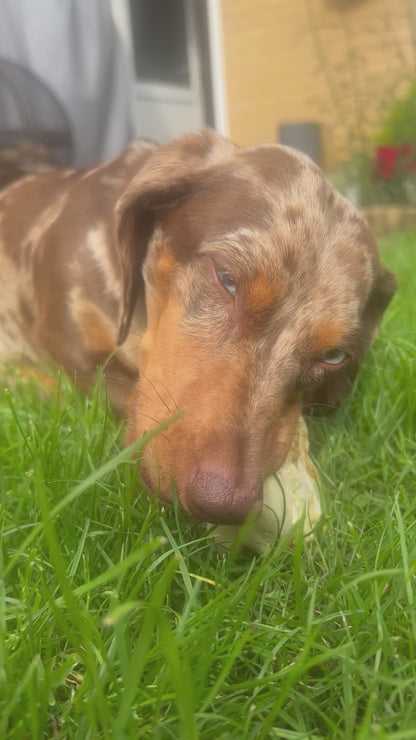 Puffed Pigs Snout