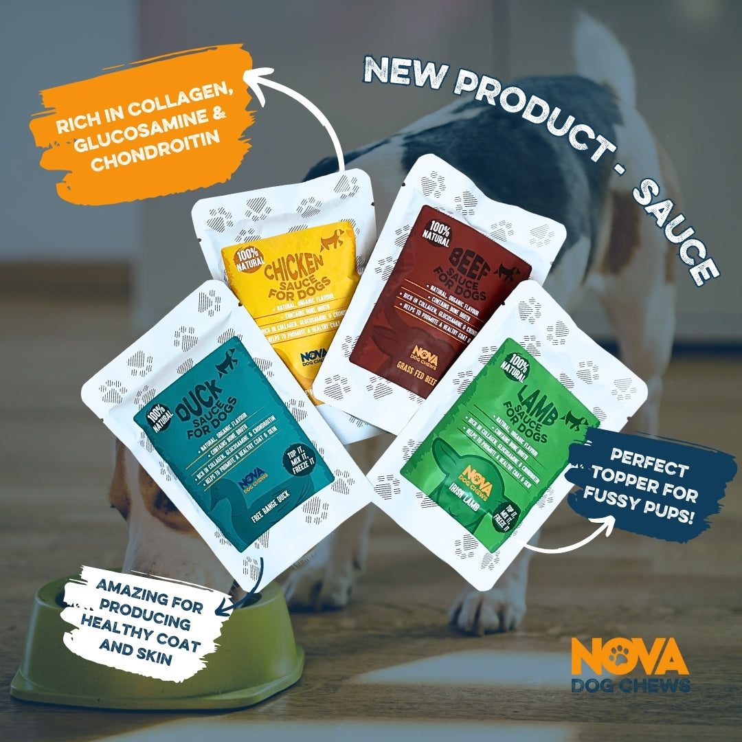 Nova Sauces For Dogs 100ml - 4 Flavours