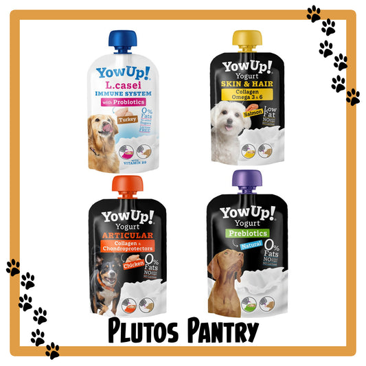 YowUp! Yoghurt for Dogs - Prebiotics, Collagen, Omega 3 & 6 - Supplument & Enrichment Treat with Prebiotic Fiber, Collagen, and Omega 3
