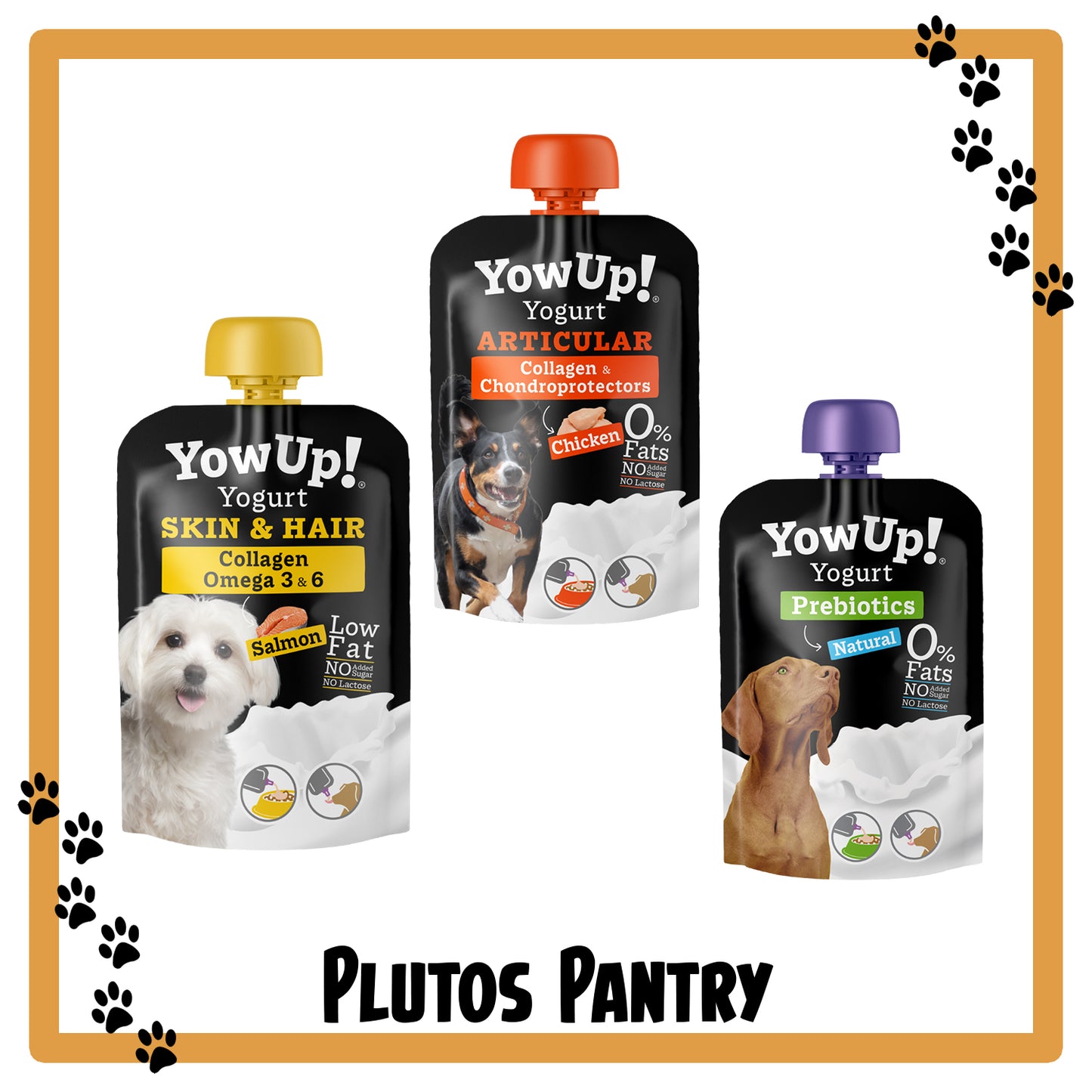 YowUp! Yoghurt for Dogs - Prebiotics, Collagen, Omega 3 & 6 - Supplument & Enrichment Treat with Prebiotic Fiber, Collagen, and Omega 3